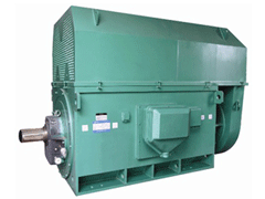 YJTKK4001-2Y系列6KV高压电机