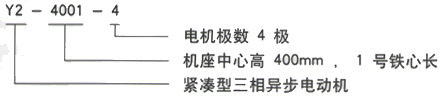 YR系列(H355-1000)高压YJTKK4001-2三相异步电机西安西玛电机型号说明